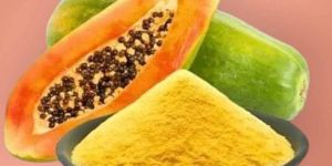 Raw Papaya Powder