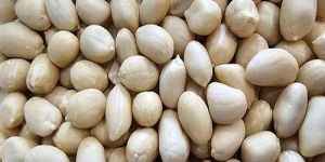 Blanched Peanut Kernels