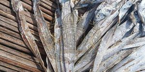 Premium Sun-Dried Large Ribbon Fish