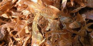 Whole Brown Dried Ribbon Fish