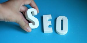 Search Engine Optimization Services
