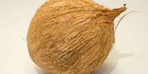 Dehusked Coconut