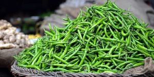 Fresh Green Chilli