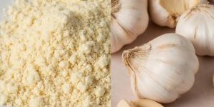 Dehydrated Garlic Powder