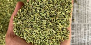 Organic Fennel Seeds