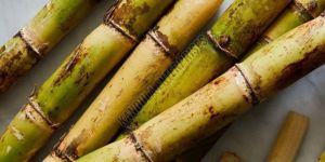 Fresh Sugarcane Sticks