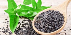 Basil Seeds