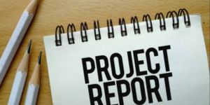 Business Project Report Service