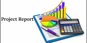 Project Report Preparation Service