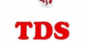 TDS Return Filing Service