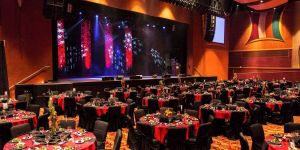 Corporate Party Decoration Service