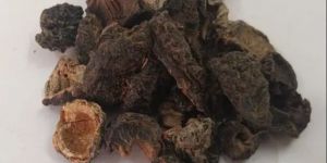 Raw Dry Amla