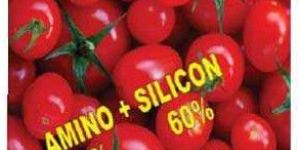 Amino Silicon NPK Fertilizer