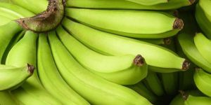 a Grade G9 Green Banana