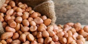 Groundnut Kernels