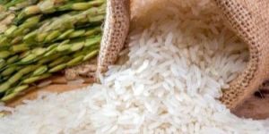 Sona Masoori Basmati Rice