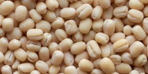White Urad Dal