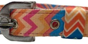 Nylon Printed Dog Collar