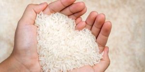 1121 Steam Long Grain Basmati Rice