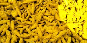 Turmeric Finger