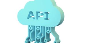 API Integration Services