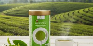 Veedaorganic Darjeeling Green Tea