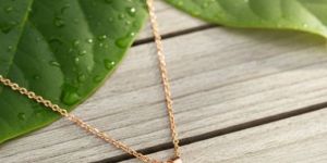 Rose Gold Necklace