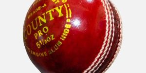 Leather Cricket Balls