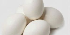 Natural Egg Shell Powder