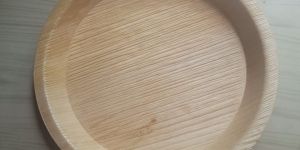 10inch Areca Leaf Plates