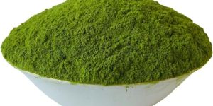 Moringa Powder