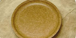 10 Inch Plain Biodegradable Dinner Plate