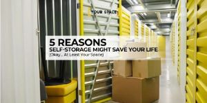 Business Storage Solutions
