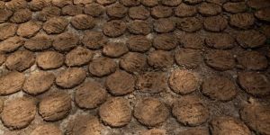 Cow Dung Uple