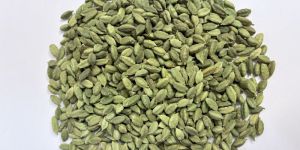 Green Cardamom
