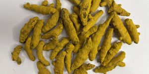 Turmeric