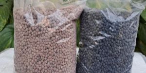 NPK Fertilizer