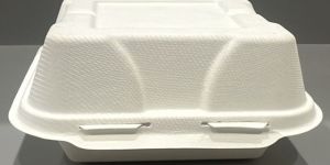 Eco Friendly Sugarcane Bagasse Single Compartment Food Clamshell Box