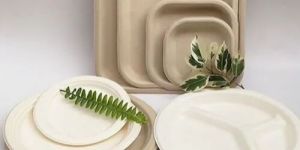 Ecodine Molded Fiber Bagasse Serving Plate