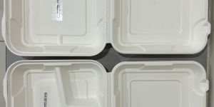 Sugarcane Bagasse 3 Compartment Clamshell Food Box