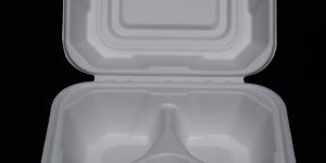 Sugarcane Bagasse Hinged Clamshell Food Container