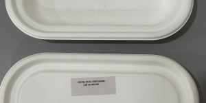 Sugarcane Bagasse Oval Food Packing Container