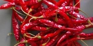 B Grade Kashmiri Red Chilli