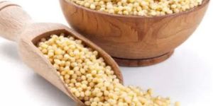 Sorghum Seeds