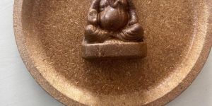 Organic Bio Ganapathy Status
