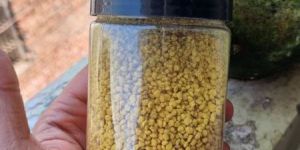 Bee Pollen