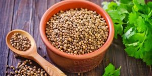 Coriander