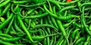 Fresh Green Chilli