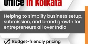 Chartered Accountant