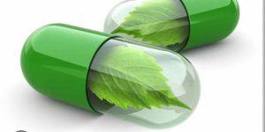 Phytochemical